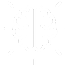 Evaluaciones cognitivas